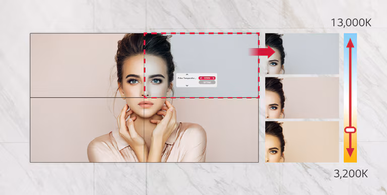 VL5PJ-05-Easy-Color-Adjustment-Digital-Signage-ID-M VL5PJ-05-Easy-Color-Adjustment-Digital-Signage